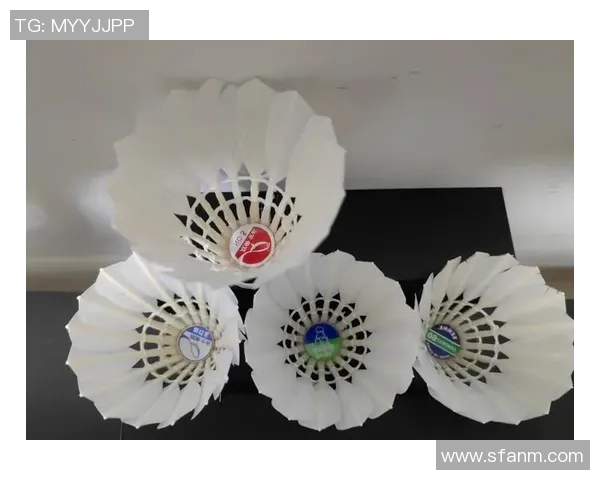 全国锦标赛分析:上海羽毛球队心理素质的优劣与提升建议 全国锦标赛分析:上海羽毛球队心理素质的优劣与提升建议