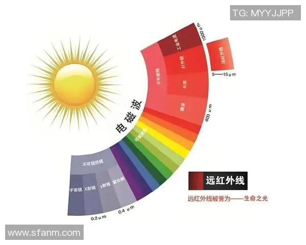 从零开始掌握网球技巧与比赛策略的全面指南