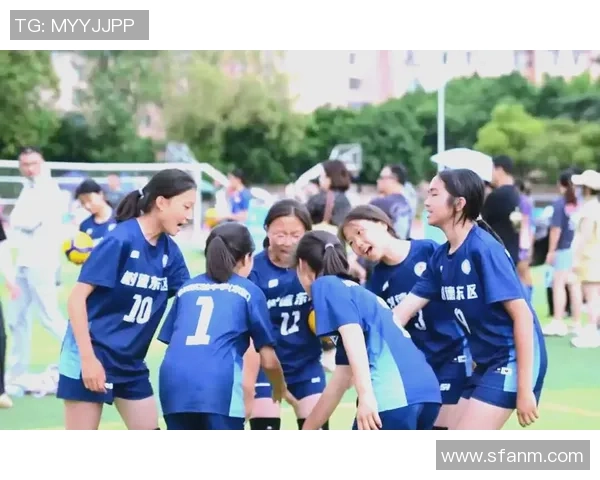 北京排球队的拼搏之路与冠军赛荣耀背后的故事