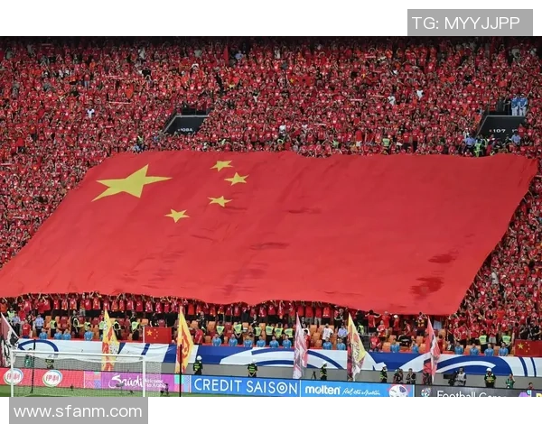 南美足球明星风采展示与精彩瞬间回顾，感受激情与荣耀的完美结合