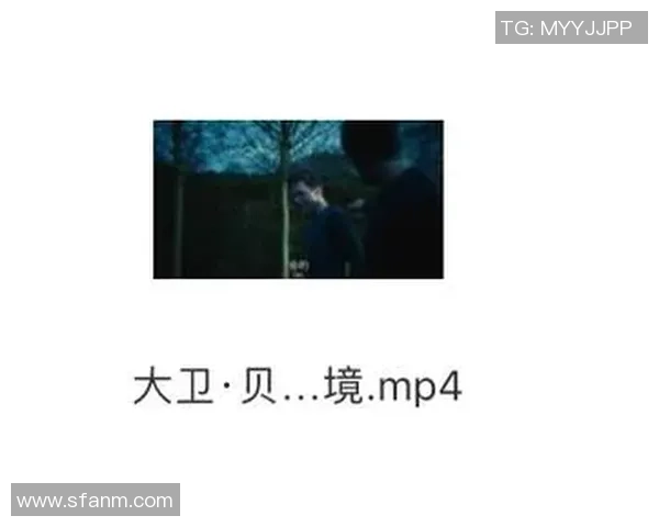 女主穿越时空与足球明星们的爱恋与冒险之旅