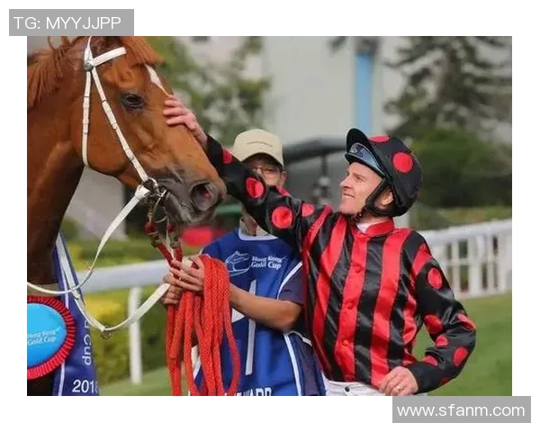 杨丽专访：从球场到人生的精彩旅程与篮球的深厚情缘