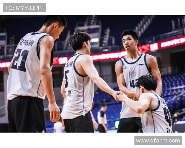 深入分析成都滑板队区域防守战术的特点与应用策略