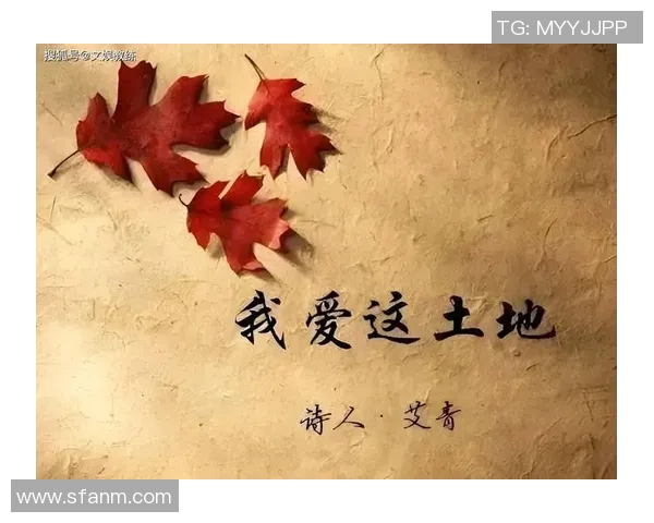 羽毛球场上的奋斗与梦想刘芳的深度对话与人生启示