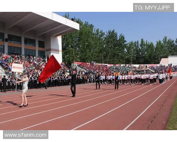 足球比豸的魅力与挑战探讨如何在赛场上超越自我与对手