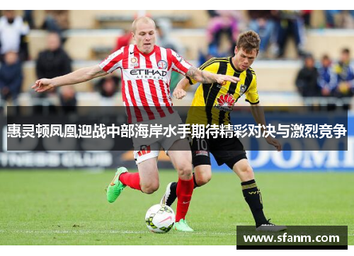 惠灵顿凤凰迎战中部海岸水手期待精彩对决与激烈竞争