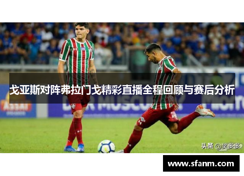 戈亚斯对阵弗拉门戈精彩直播全程回顾与赛后分析