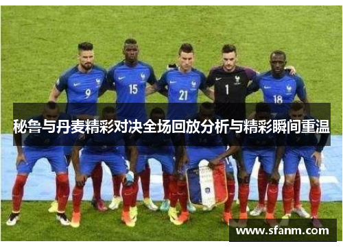 秘鲁与丹麦精彩对决全场回放分析与精彩瞬间重温
